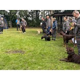 Sommerfest2024